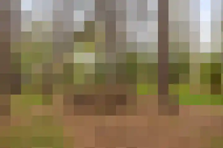 Rullen 14 Nuenen thumbnail 45