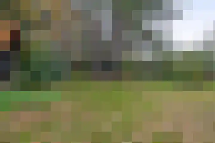 Rullen 14 Nuenen thumbnail 46