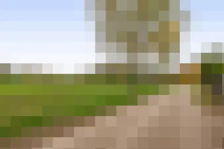 Rullen 14 Nuenen thumbnail 52