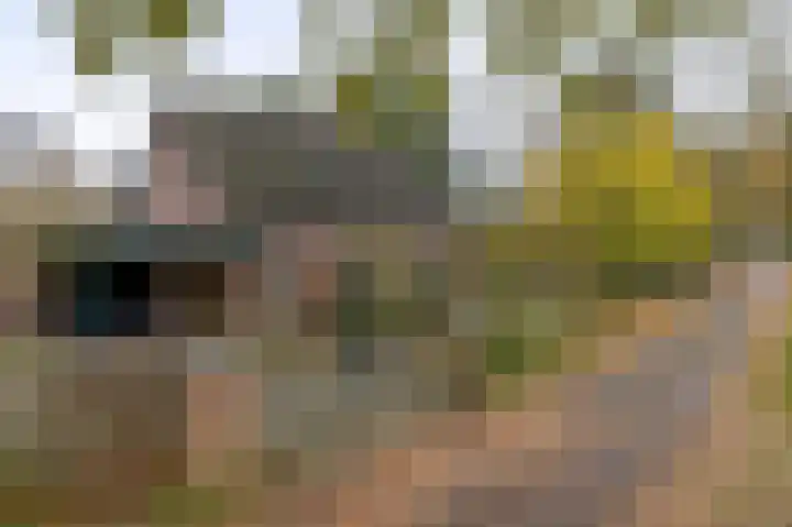 Rullen 14 Nuenen thumbnail 6
