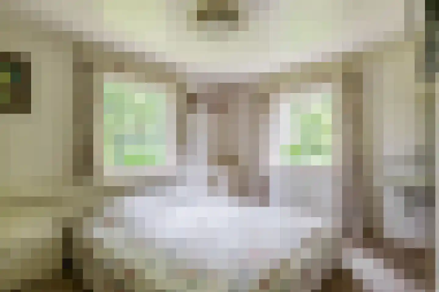 Rullen 4 Nuenen thumbnail 24