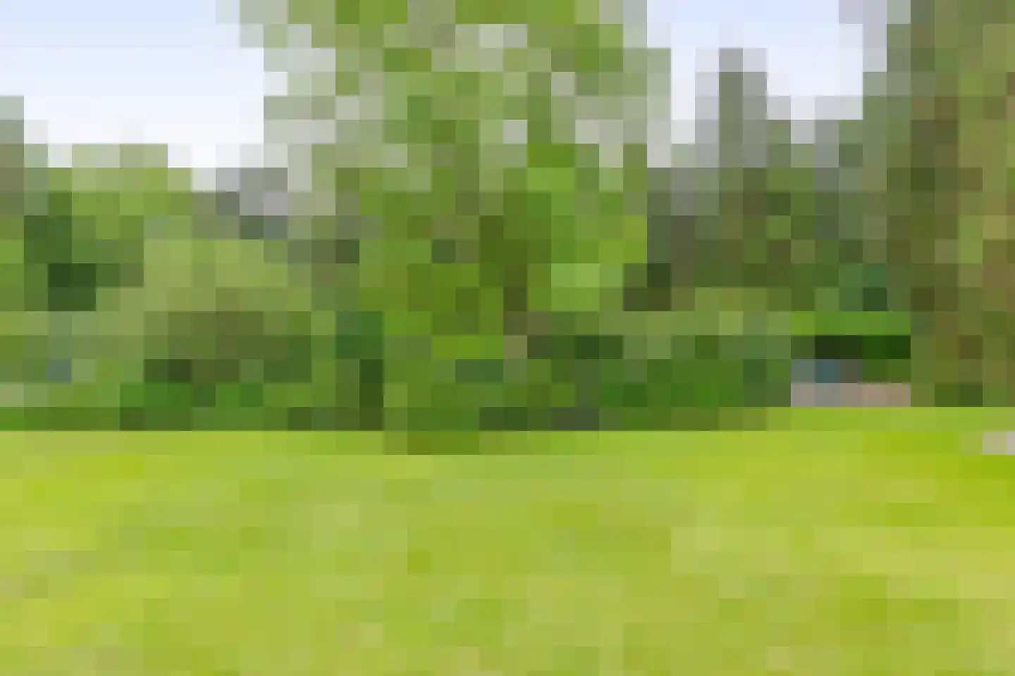 Rullen 4 Nuenen thumbnail 37