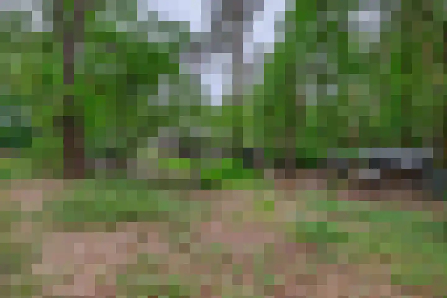 Rullen 4 Nuenen thumbnail 42