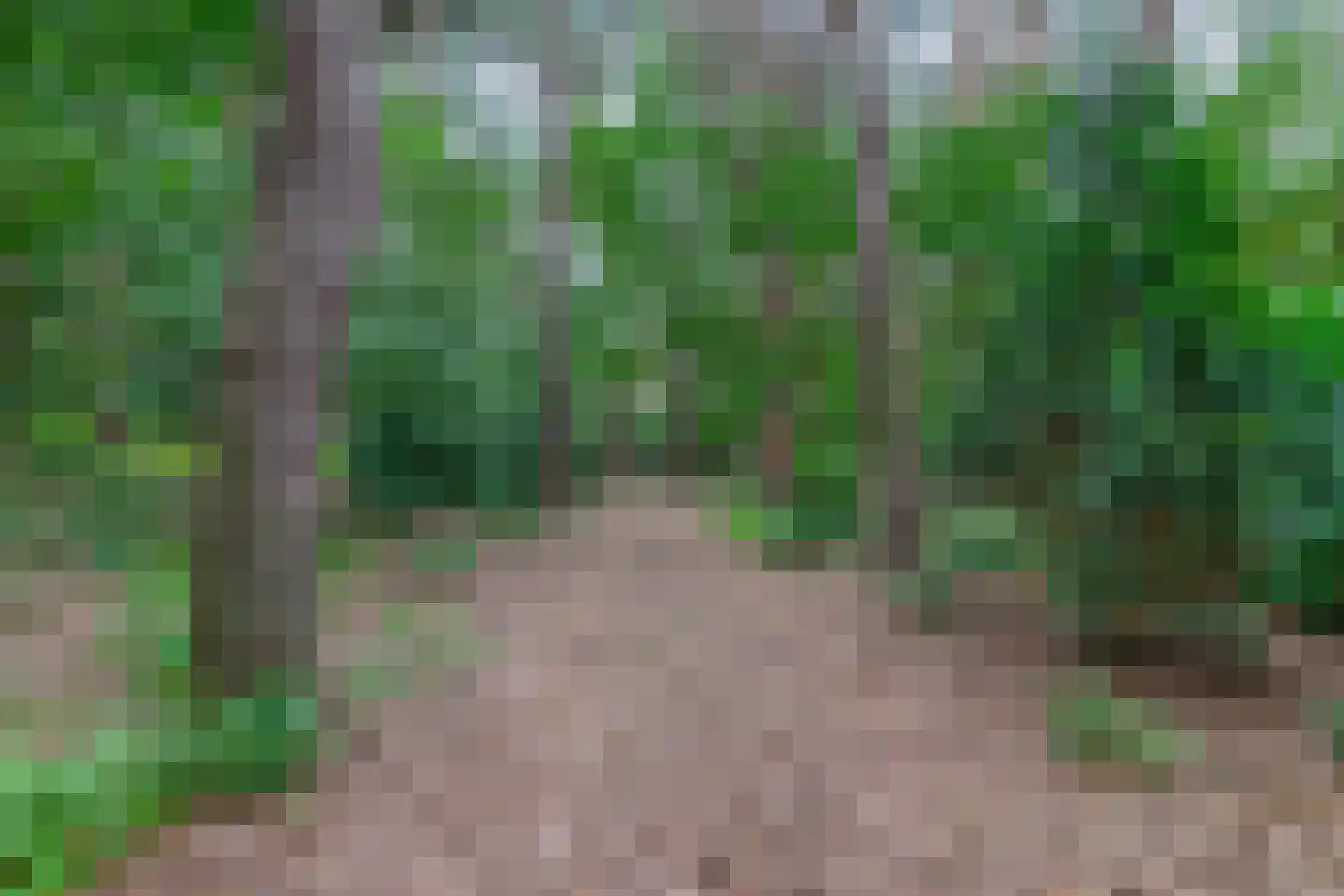 Rullen 4 Nuenen thumbnail 43