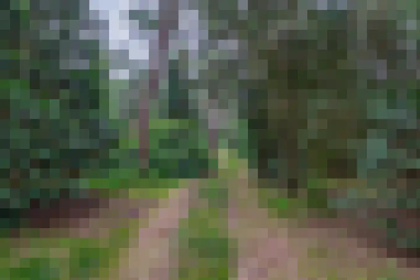 Rullen 4 Nuenen thumbnail 44