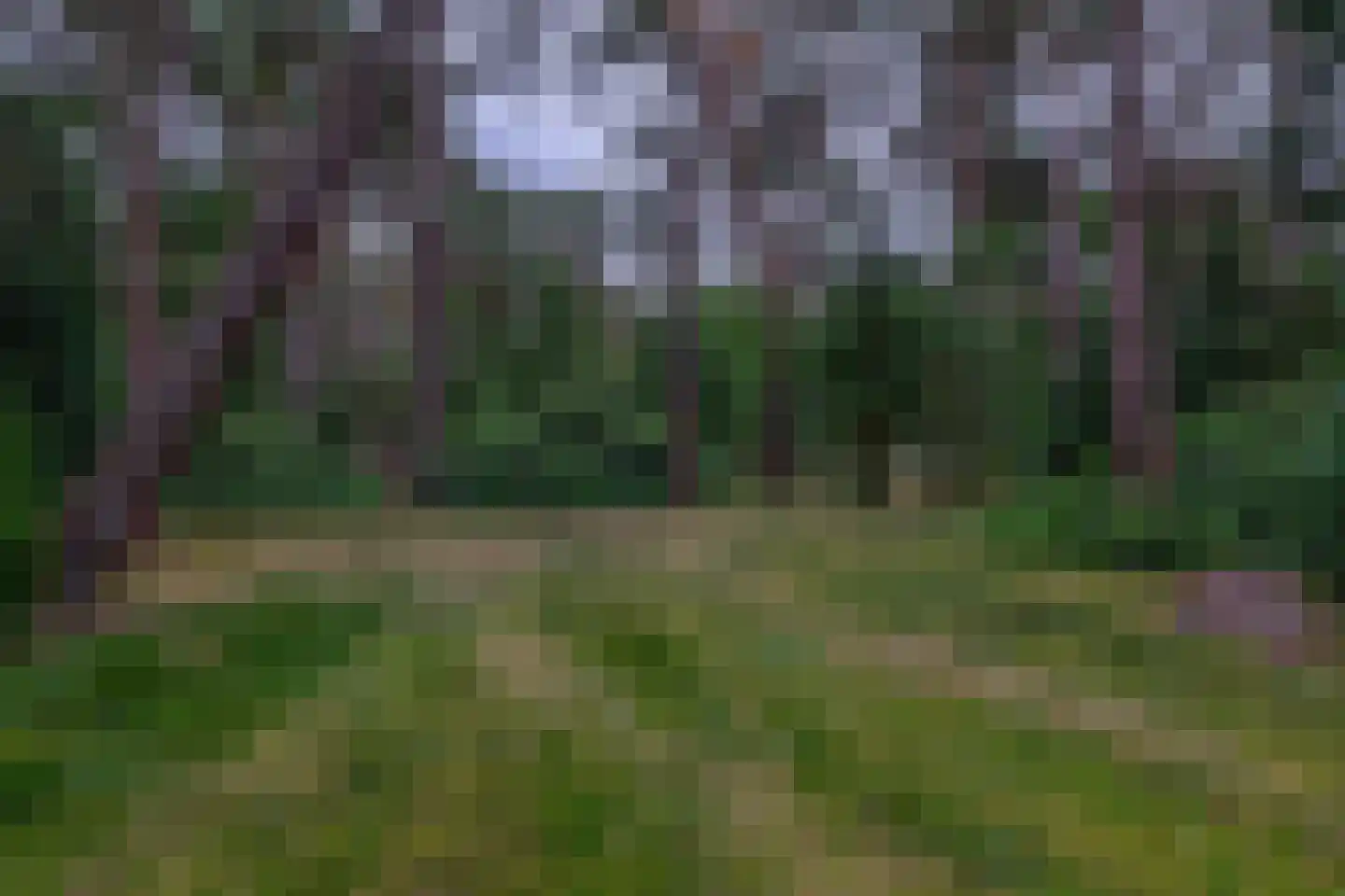 Rullen 4 Nuenen thumbnail 45