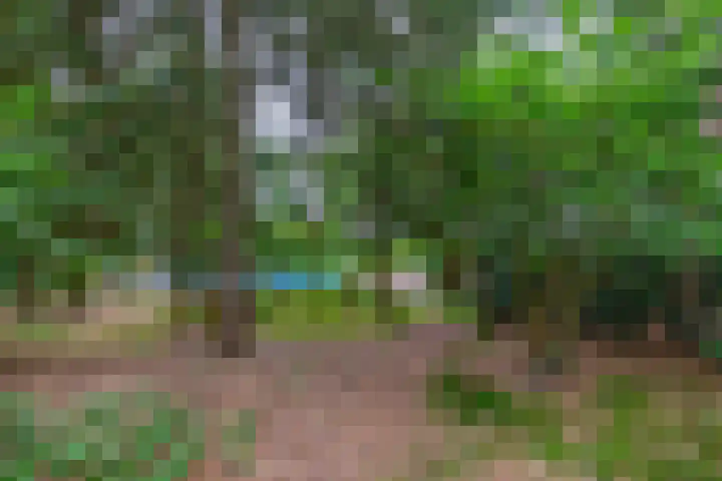 Rullen 4 Nuenen thumbnail 46