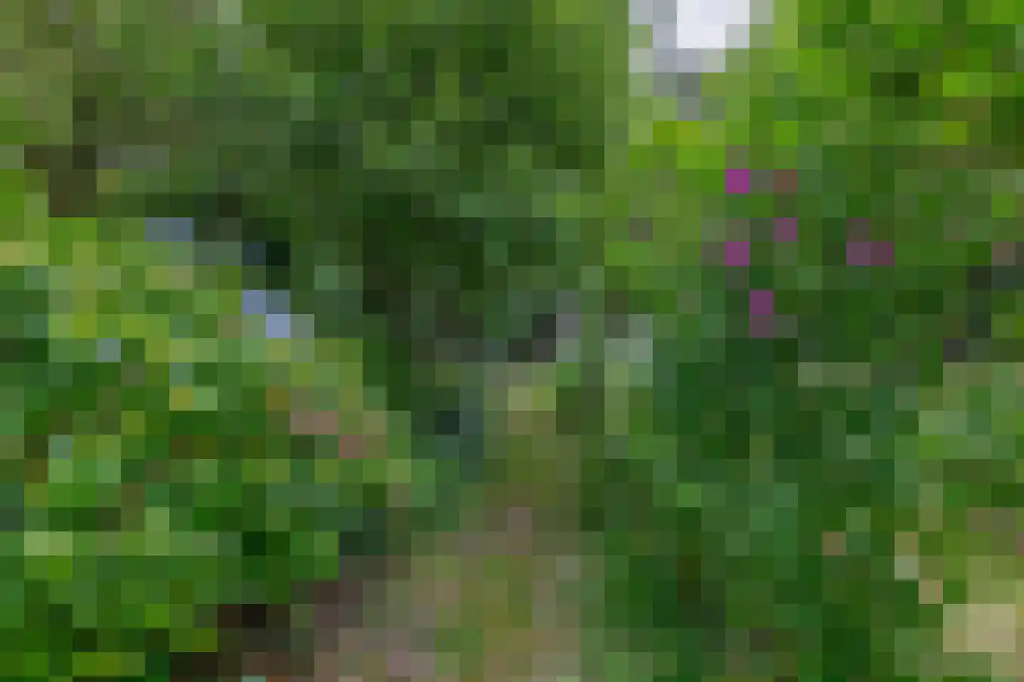 Rullen 4 Nuenen thumbnail 47