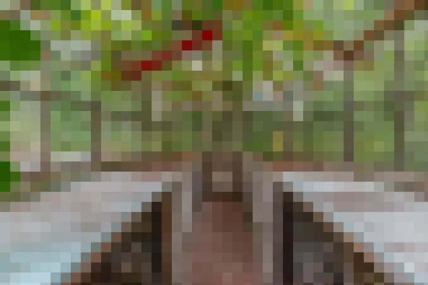 Rullen 4 Nuenen thumbnail 48