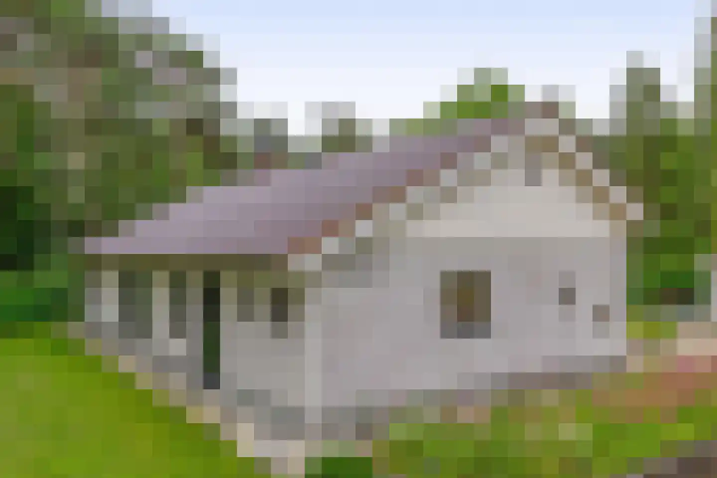 Rullen 4 Nuenen thumbnail 5