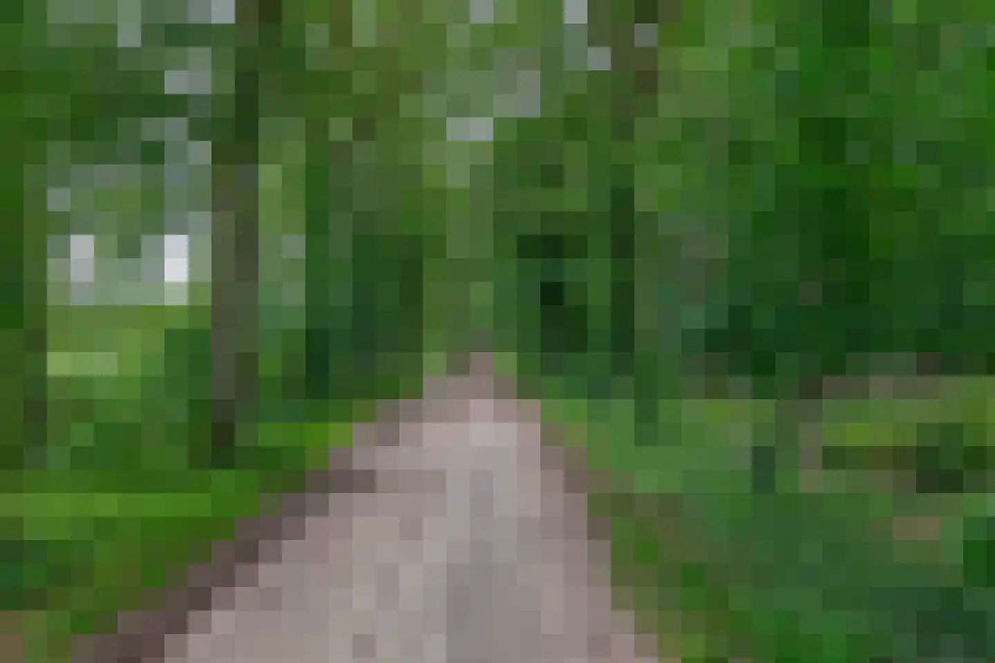 Rullen 4 Nuenen thumbnail 53