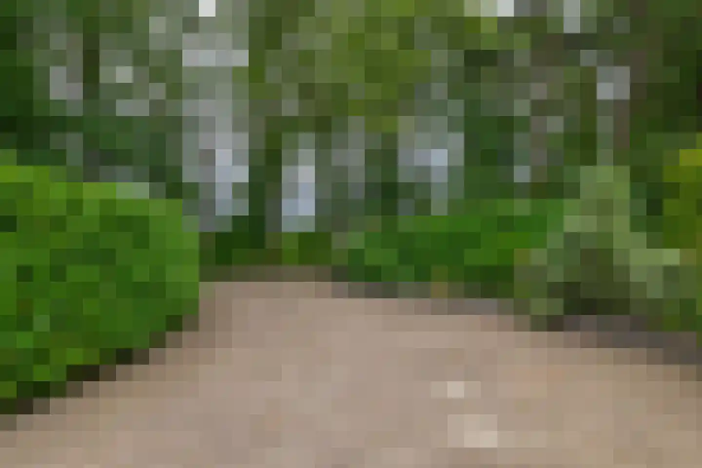 Rullen 4 Nuenen thumbnail 58