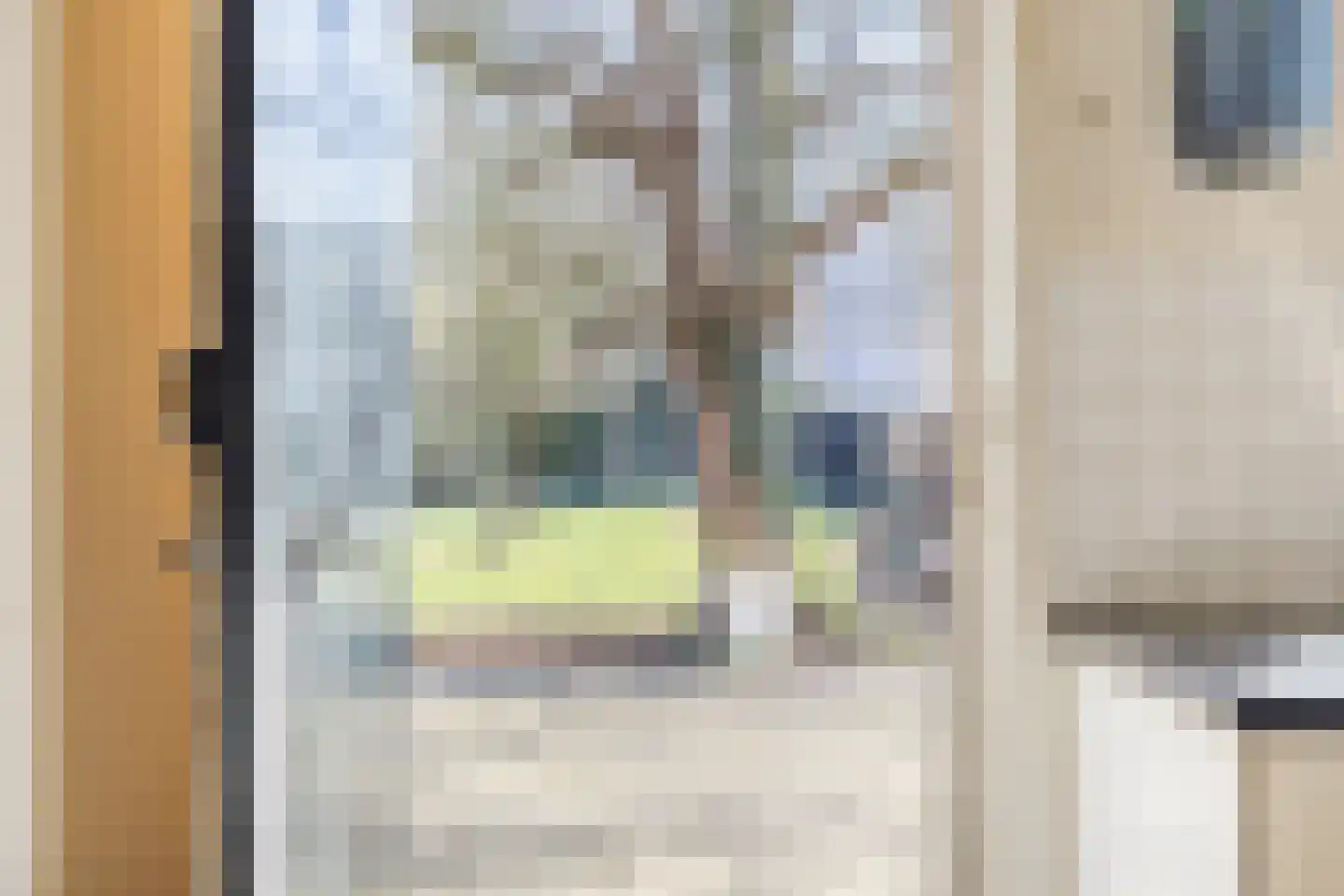 Rulstraat 29 Oosterhout thumbnail 14
