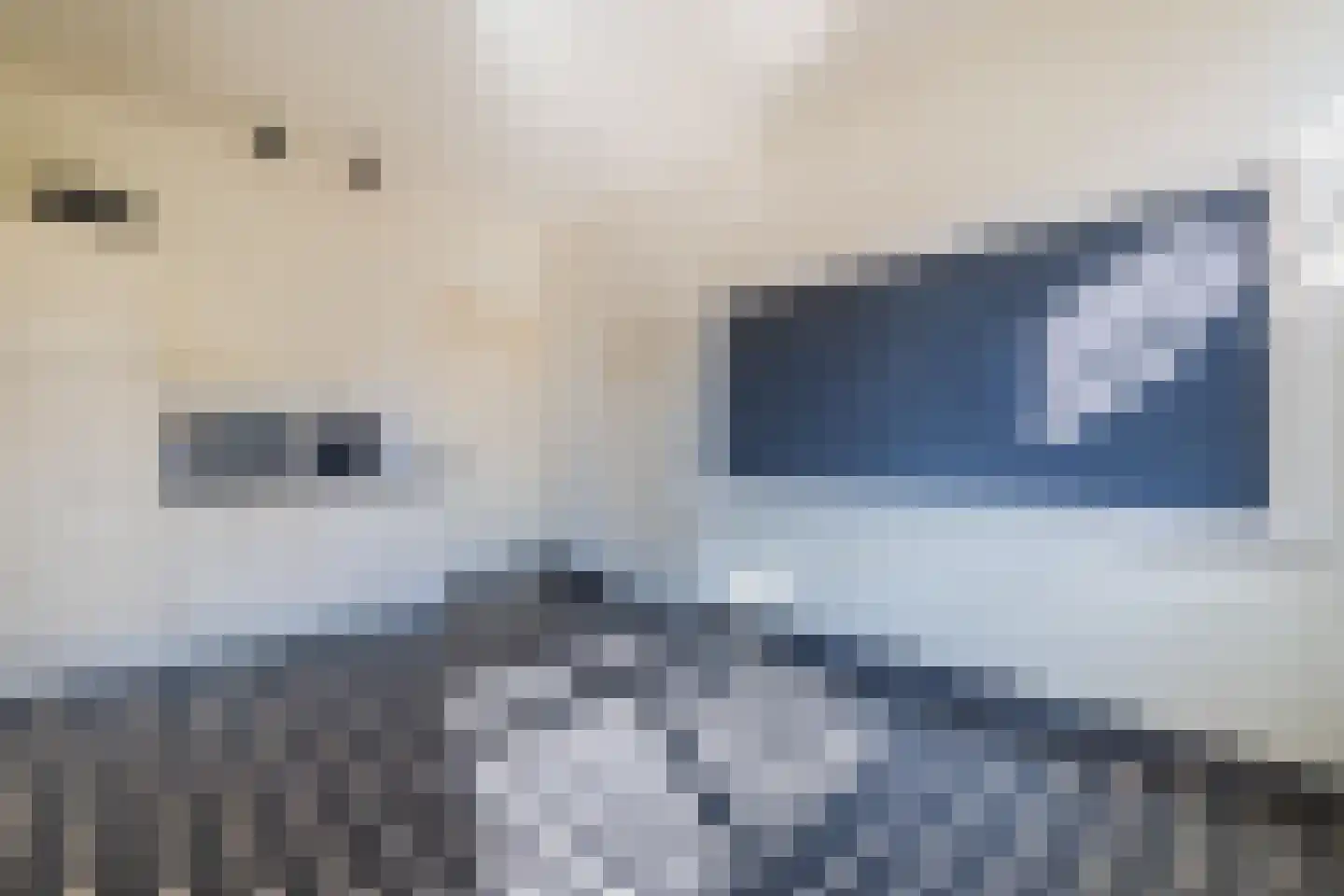 Rulstraat 29 Oosterhout thumbnail 16