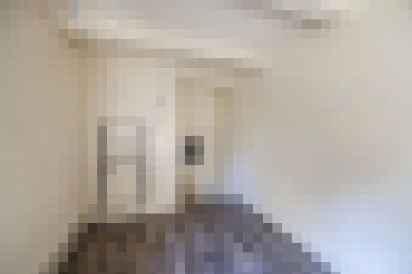 Rulstraat 29 Oosterhout thumbnail 31