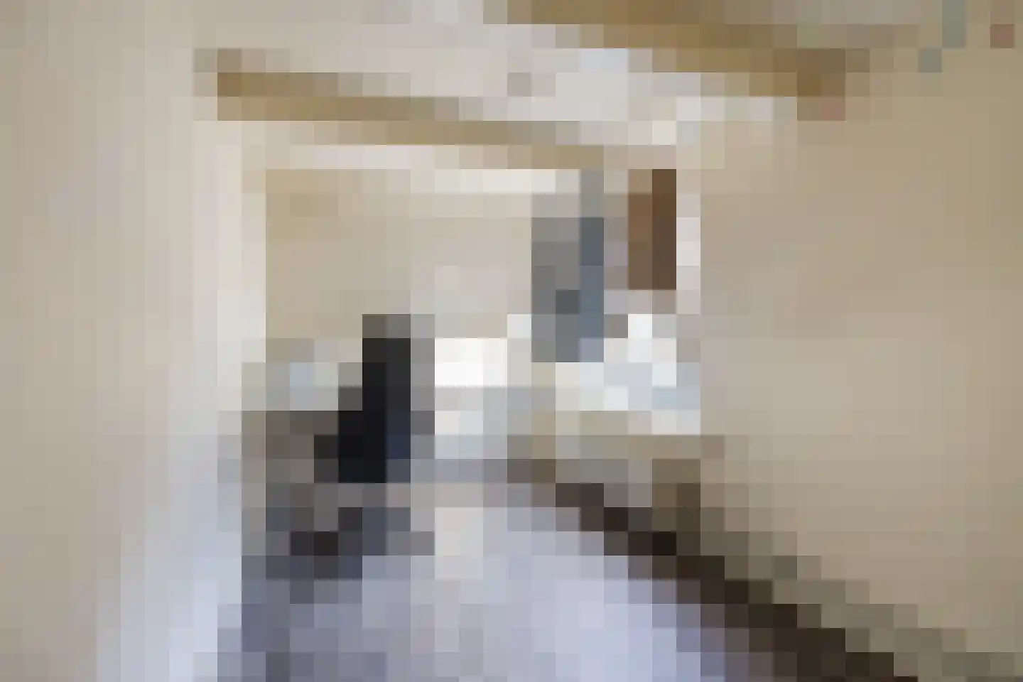 Rulstraat 29 Oosterhout thumbnail 32