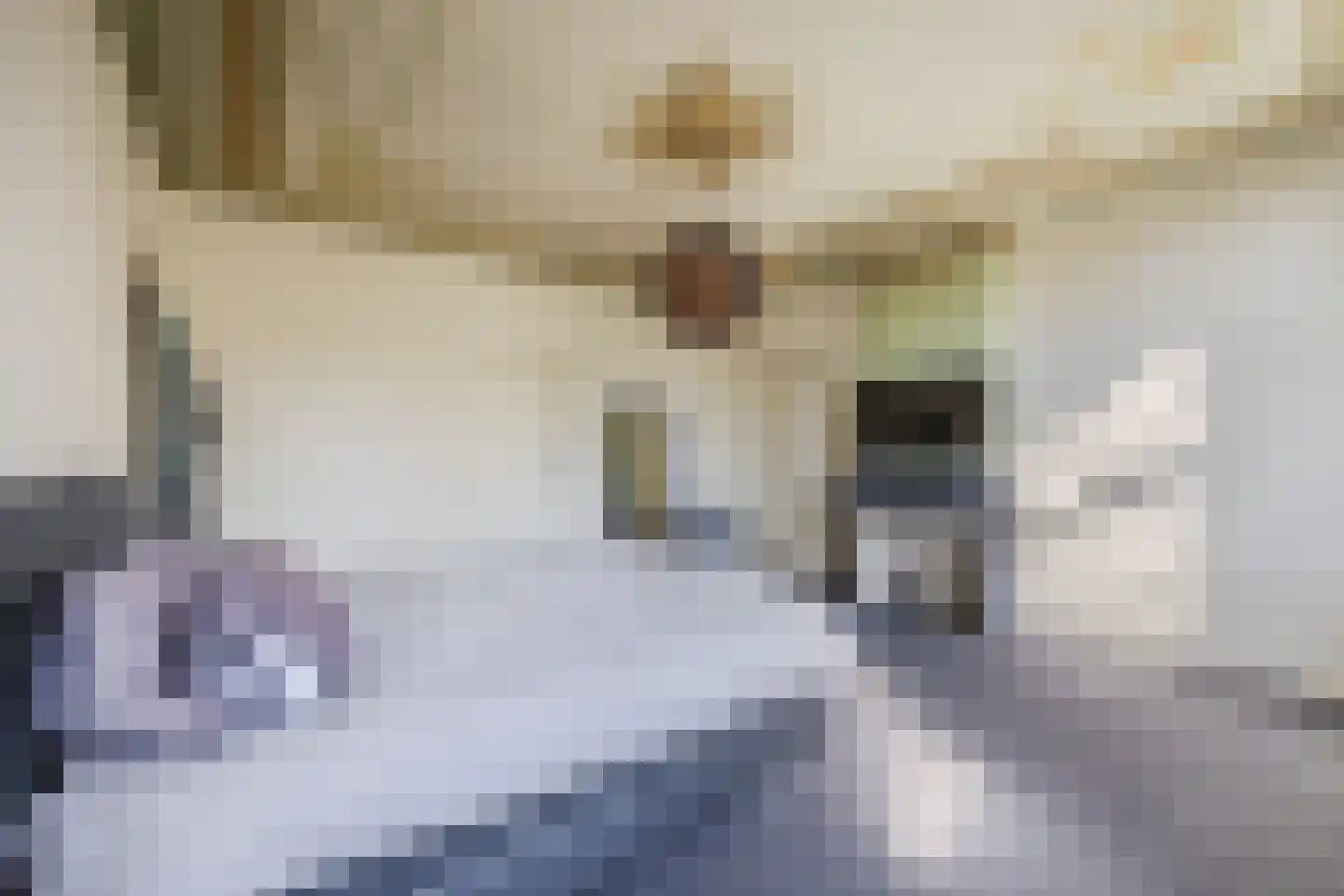 Rulstraat 29 Oosterhout thumbnail 35