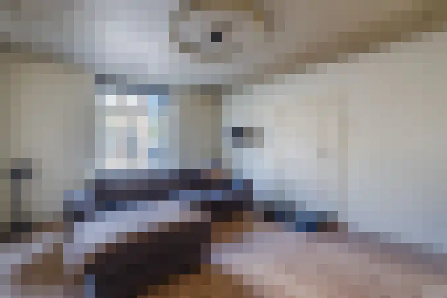Rulstraat 29 Oosterhout thumbnail 4