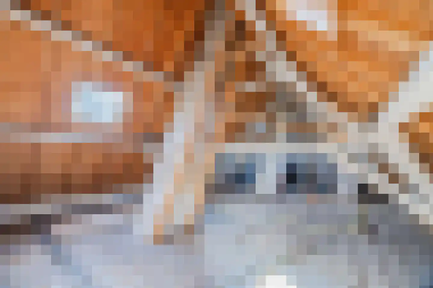 Rulstraat 29 Oosterhout thumbnail 53