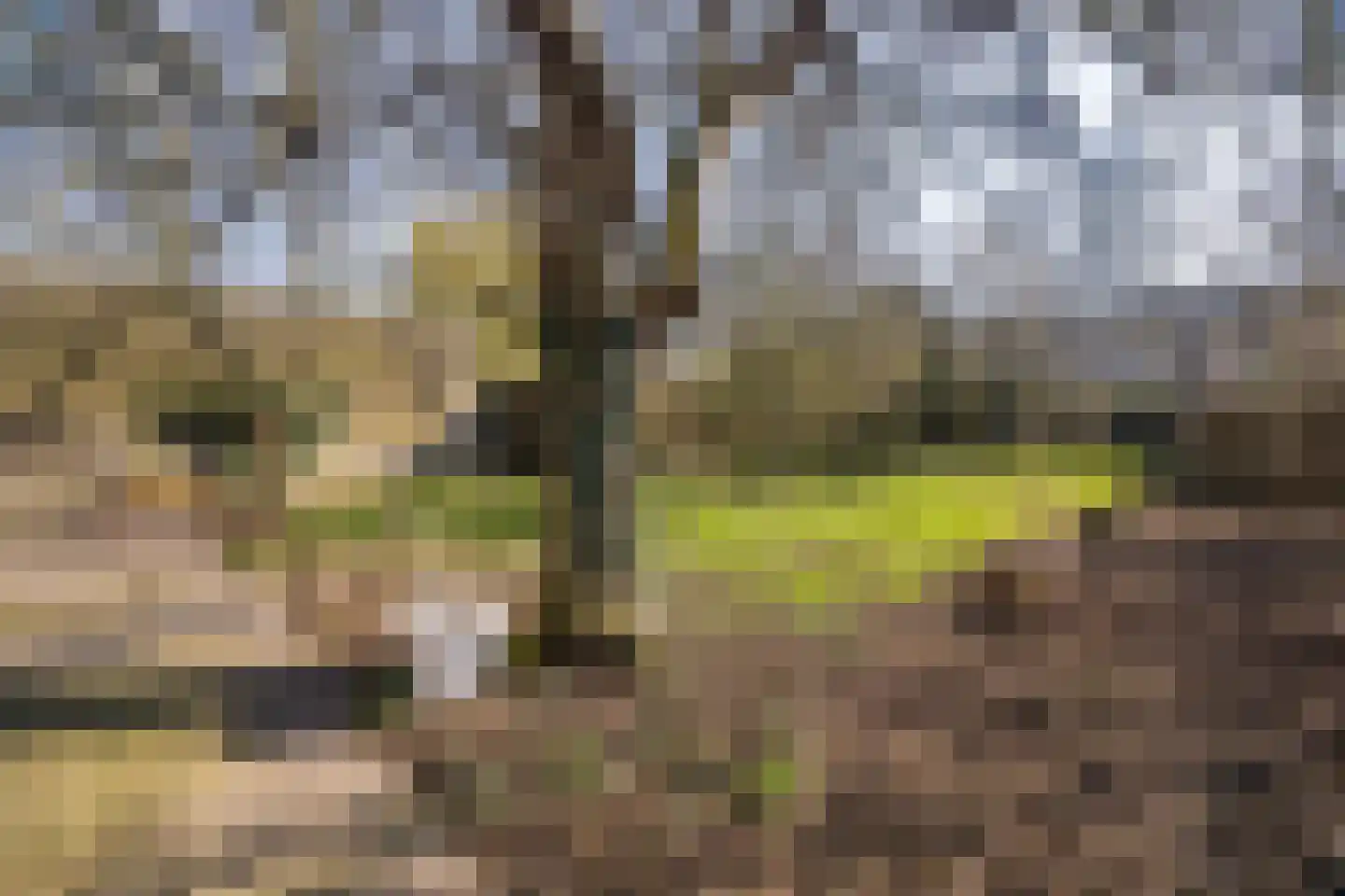 Rulstraat 29 Oosterhout thumbnail 61