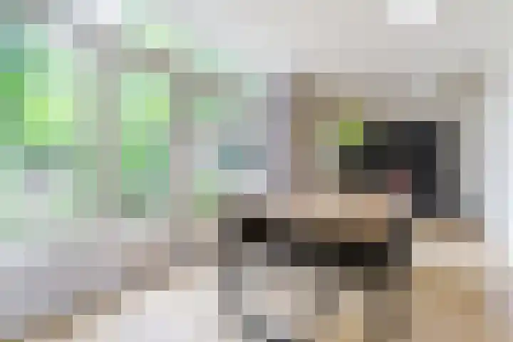 Rulstraat 4 Geldrop thumbnail 12