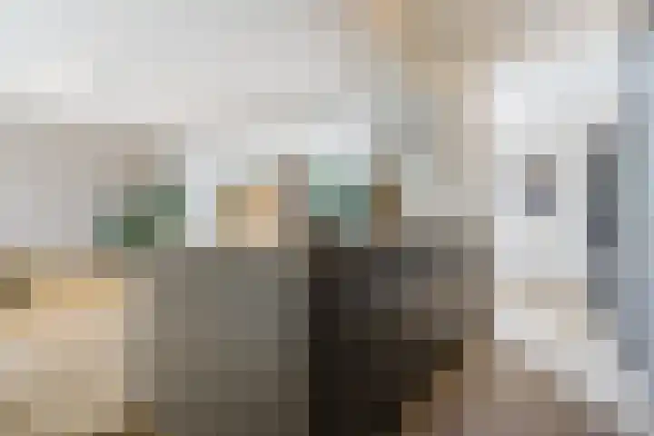 Rulstraat 4 Geldrop thumbnail 15