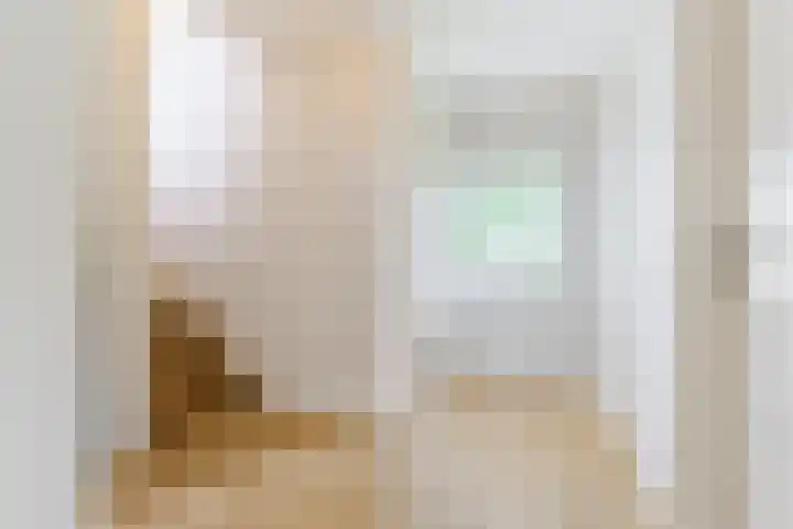 Rulstraat 4 Geldrop thumbnail 32