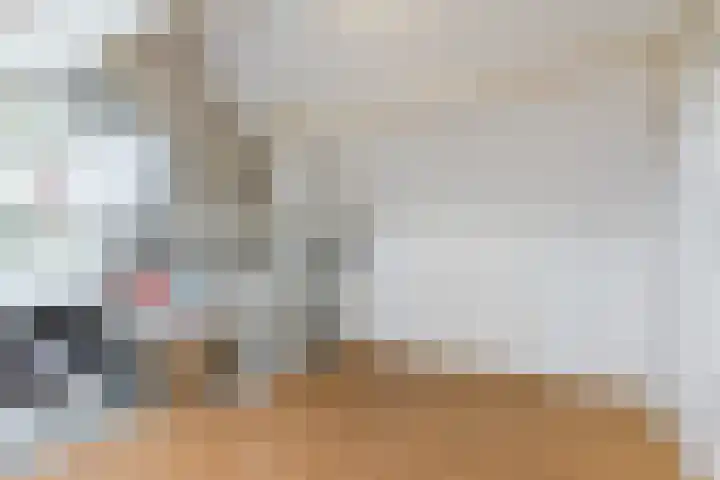 Rulstraat 4 Geldrop thumbnail 33