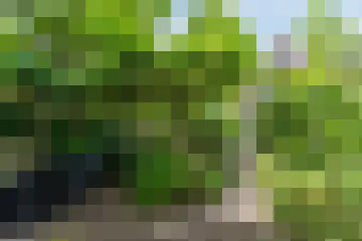 Rulstraat 4 Geldrop thumbnail 39