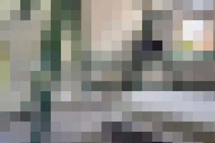 Rulstraat 4 Geldrop thumbnail 41