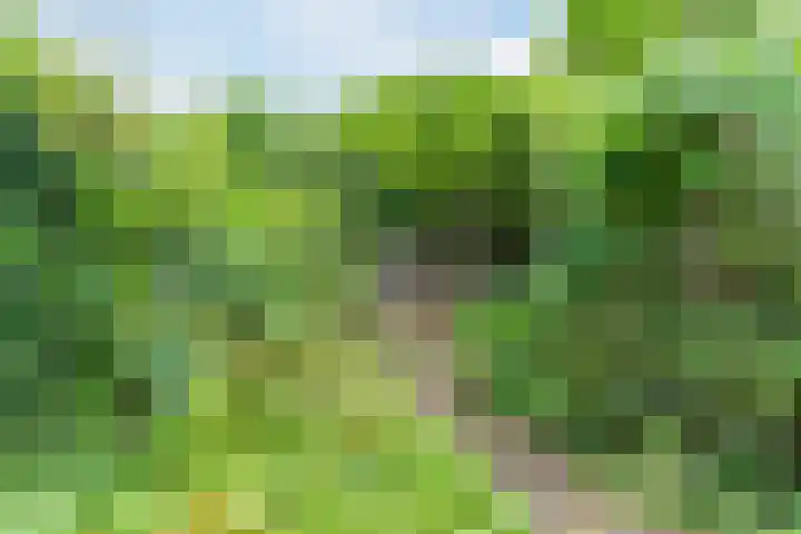 Rulstraat 4 Geldrop thumbnail 42