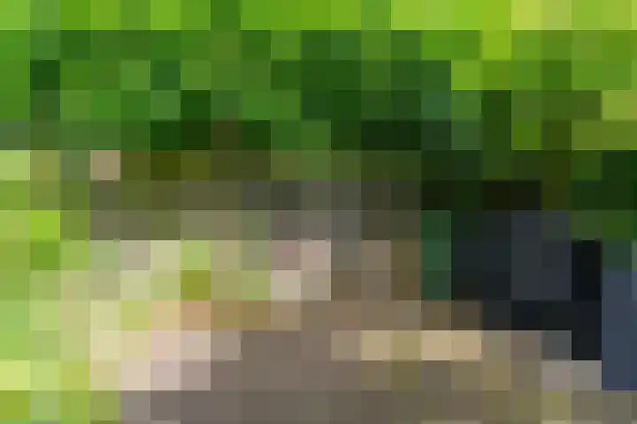 Rulstraat 4 Geldrop thumbnail 43