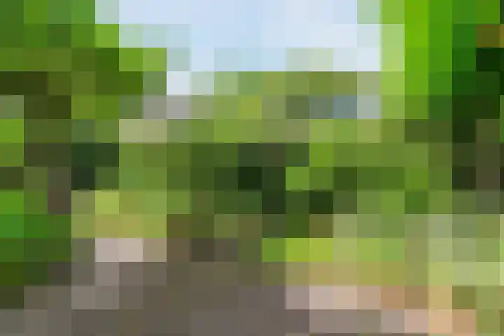 Rulstraat 4 Geldrop thumbnail 44
