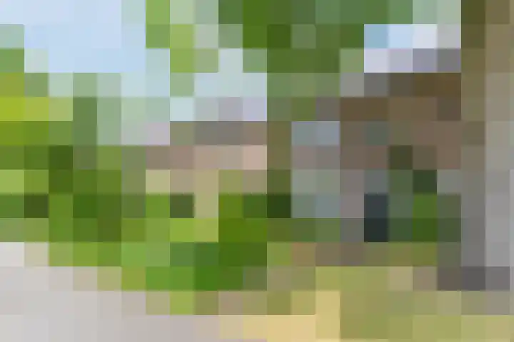 Rulstraat 4 Geldrop thumbnail 45