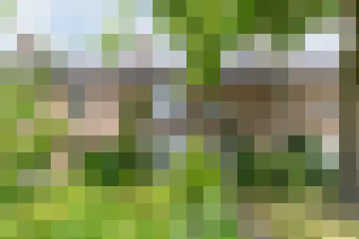 Rulstraat 4 Geldrop thumbnail 46