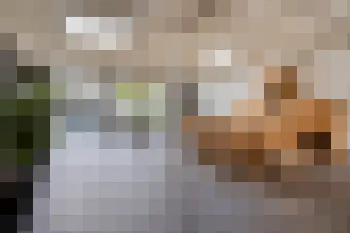 Rulstraat 4 Geldrop thumbnail 50