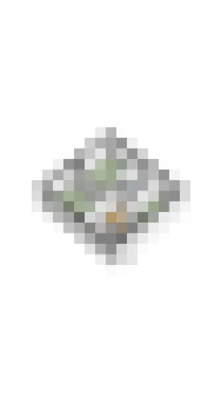 Rulstraat 4 Geldrop thumbnail 55