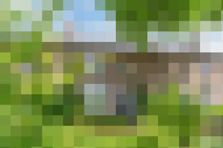 Rulstraat 4 Geldrop thumbnail 57