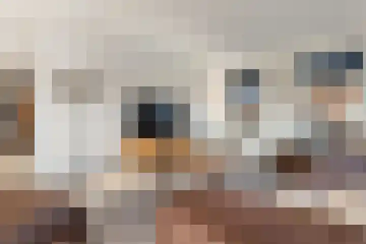 Rulstraat 4 Geldrop thumbnail 7