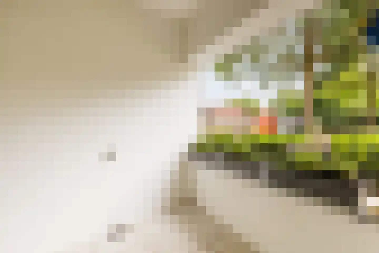 Rulstraat 57 A Oosterhout thumbnail 18