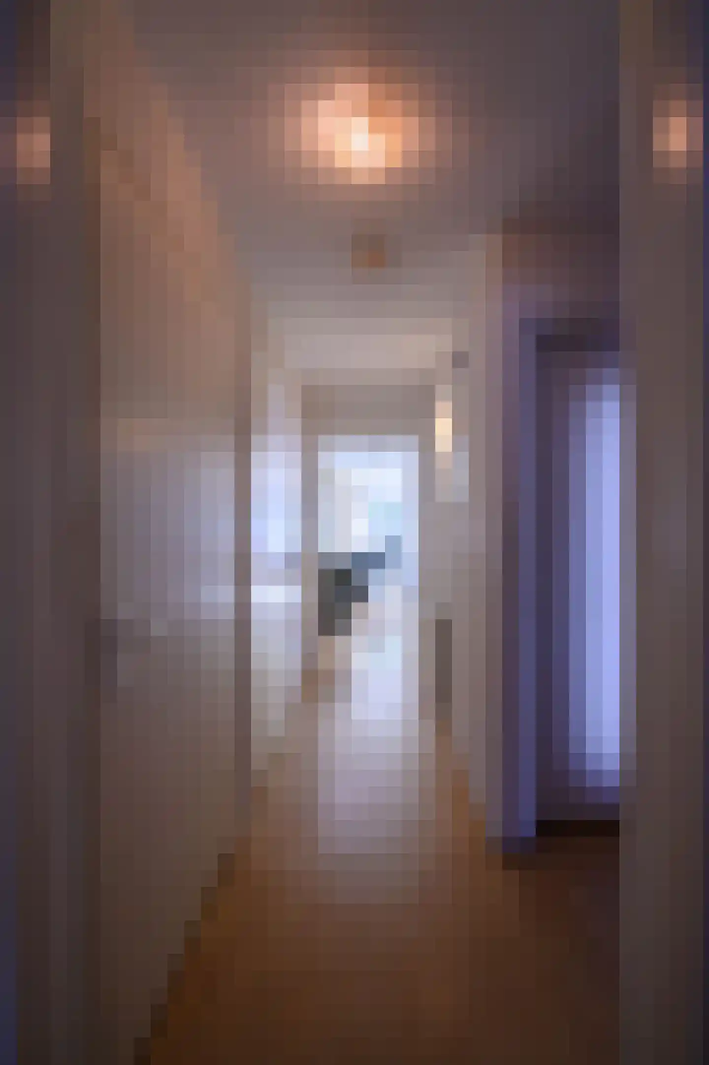 Rulstraat 57 A Oosterhout thumbnail 9