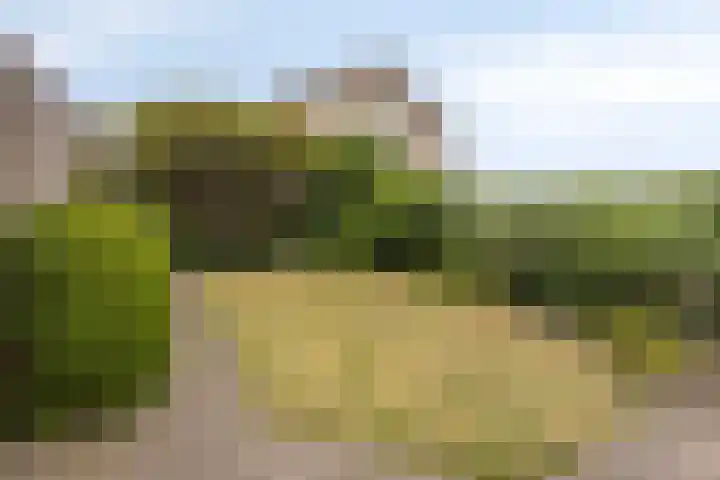 Rulstraat 9 Geldrop thumbnail 20