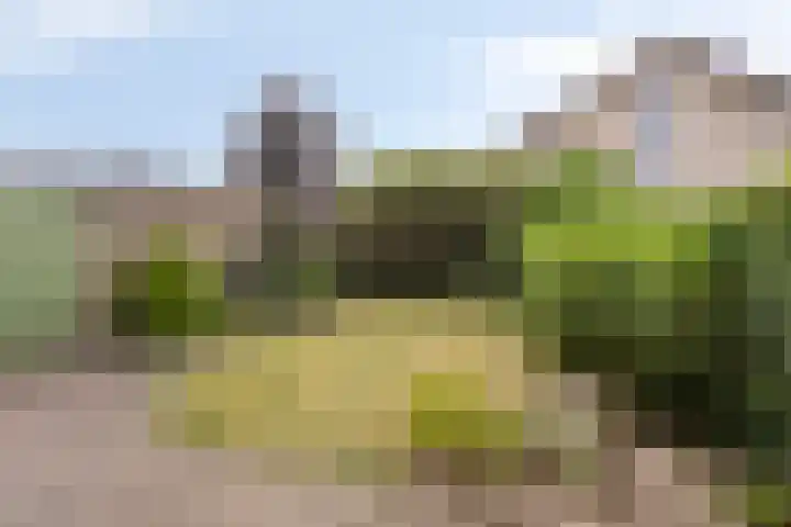 Rulstraat 9 Geldrop thumbnail 21