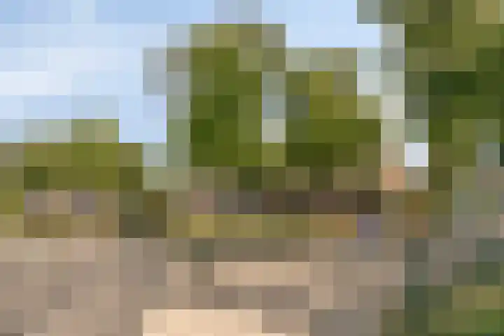 Rulstraat 9 Geldrop thumbnail 24