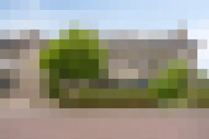 Rulstraat 9 Geldrop thumbnail 30