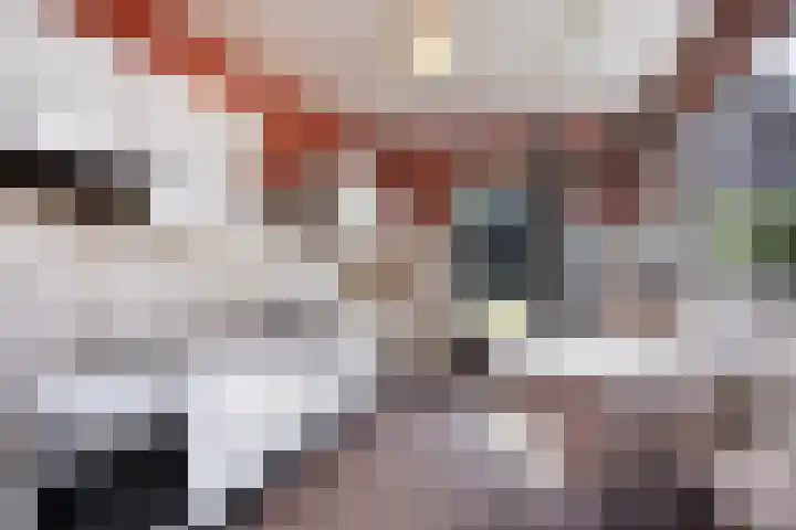 Rulstraat 9 Geldrop thumbnail 8