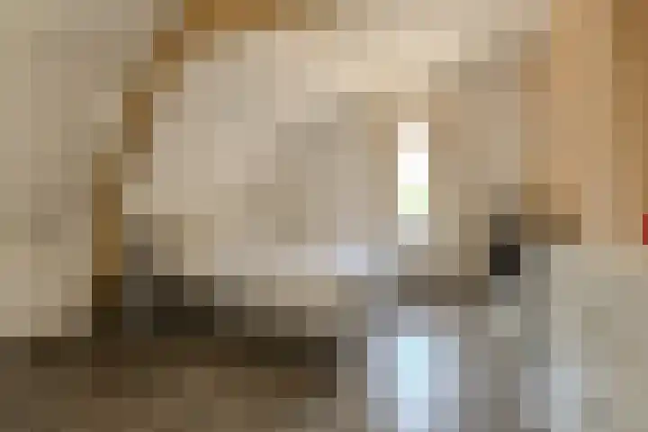Rulstraat 90 Oosterhout thumbnail 23