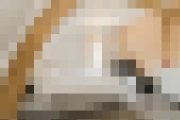 Rulstraat 90 Oosterhout thumbnail 25