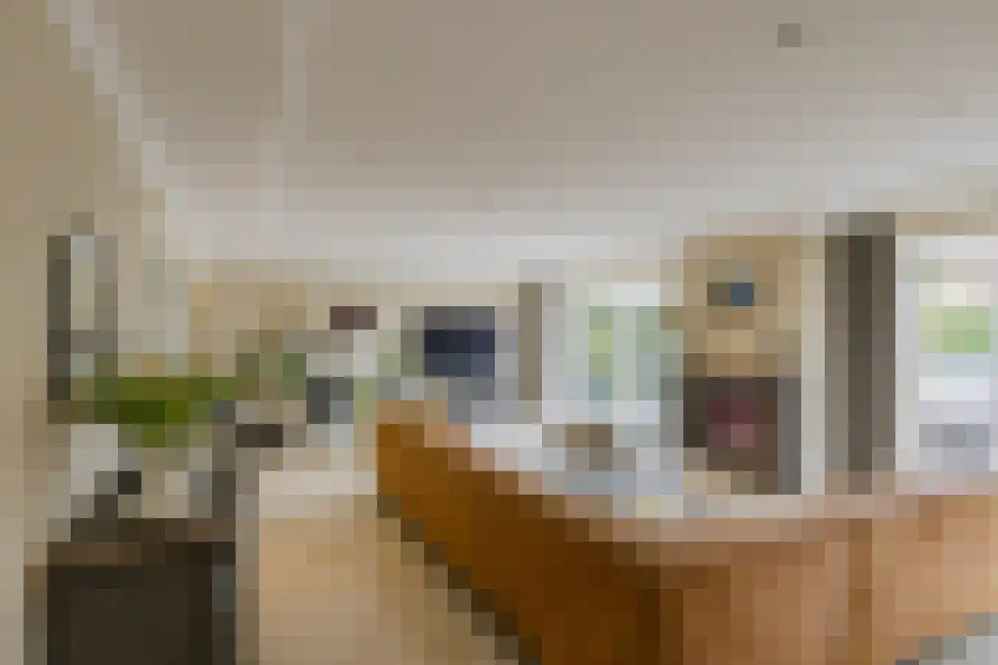 Rumba 3 Nieuw-Vennep thumbnail 17