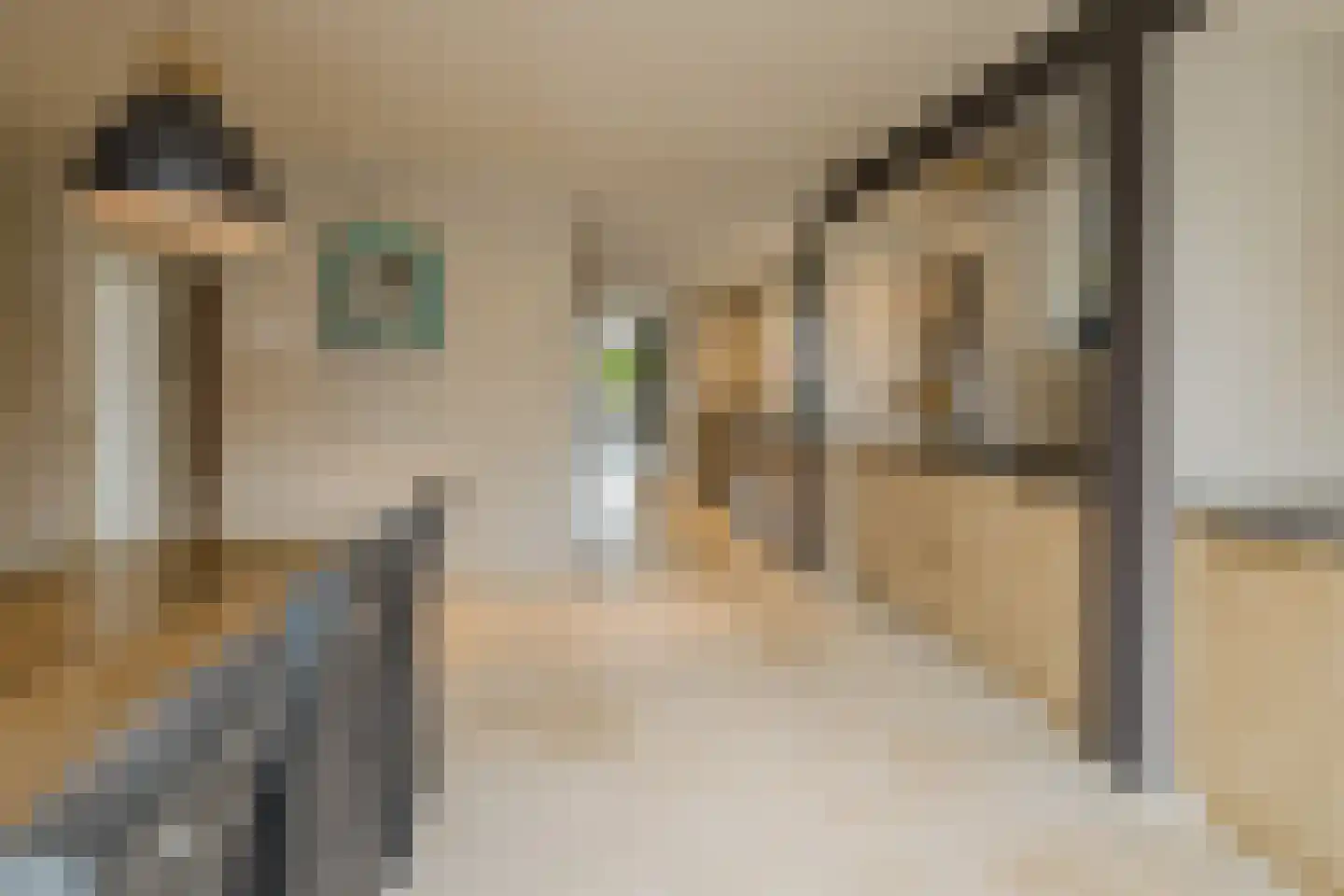 Rumba 3 Nieuw-Vennep thumbnail 29